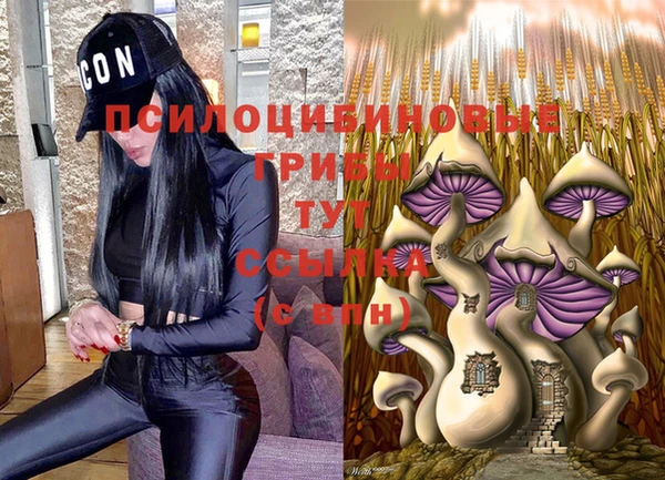 соль ск Киренск